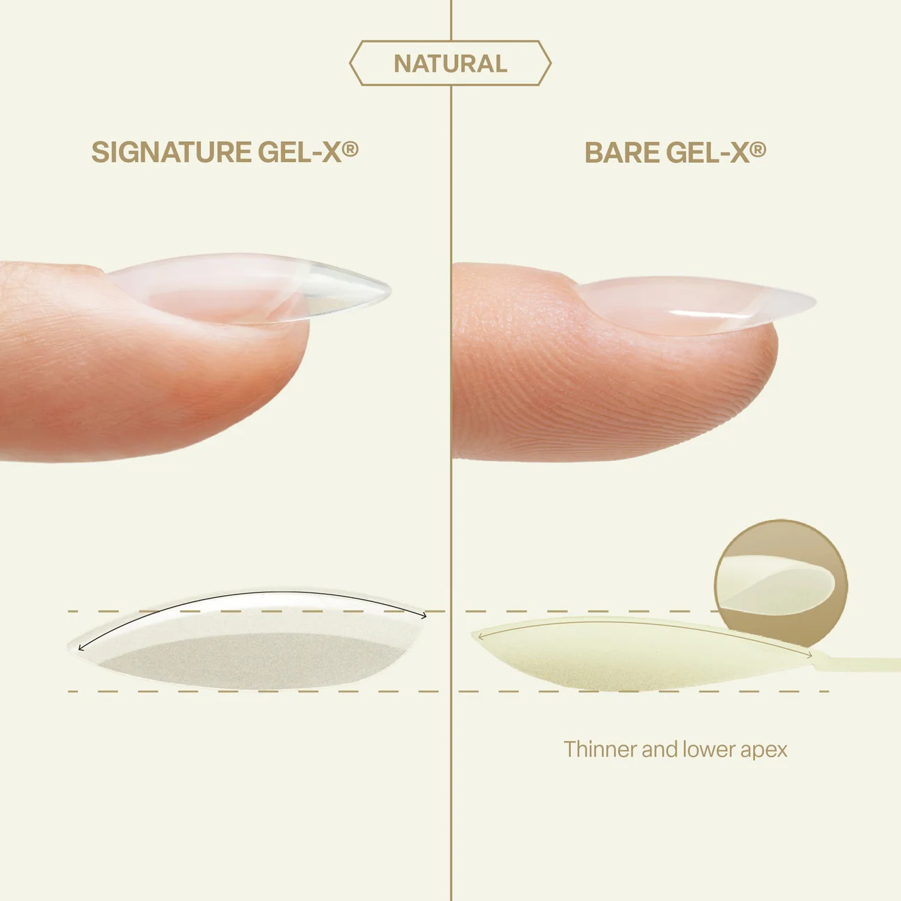 Apres Bare Gel-X Tips (Natural) 280pcs Box - 16 Sizes - Image 7